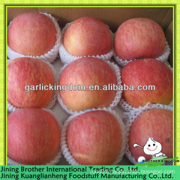 red star apple fruit from origin